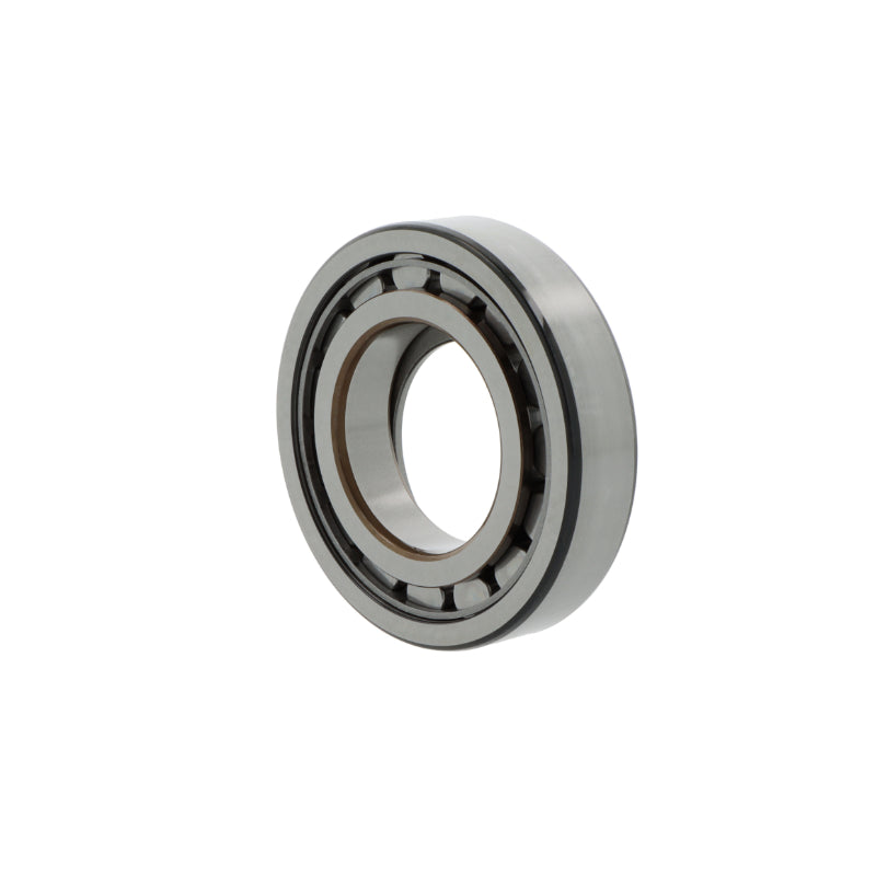 Cuscinetto a rulli cilindrici BC1-0312