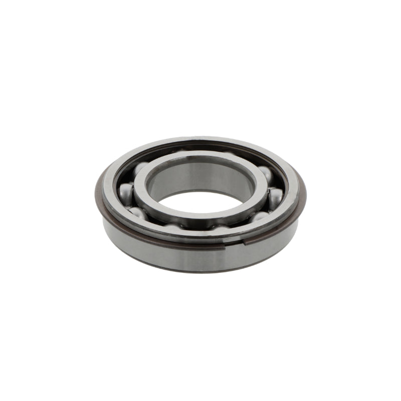 Cuscinetto radiale rigido a sfere 6205  ZENR