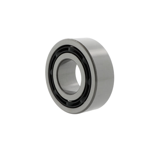 Cuscinetto radiale rigido a sfere 4210 -B-TV-C3