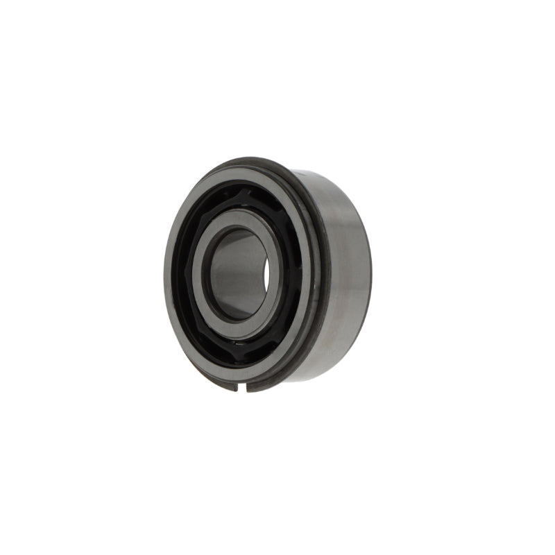 Cuscinetto radiale obliquo a sfere 3313  ANR/C3