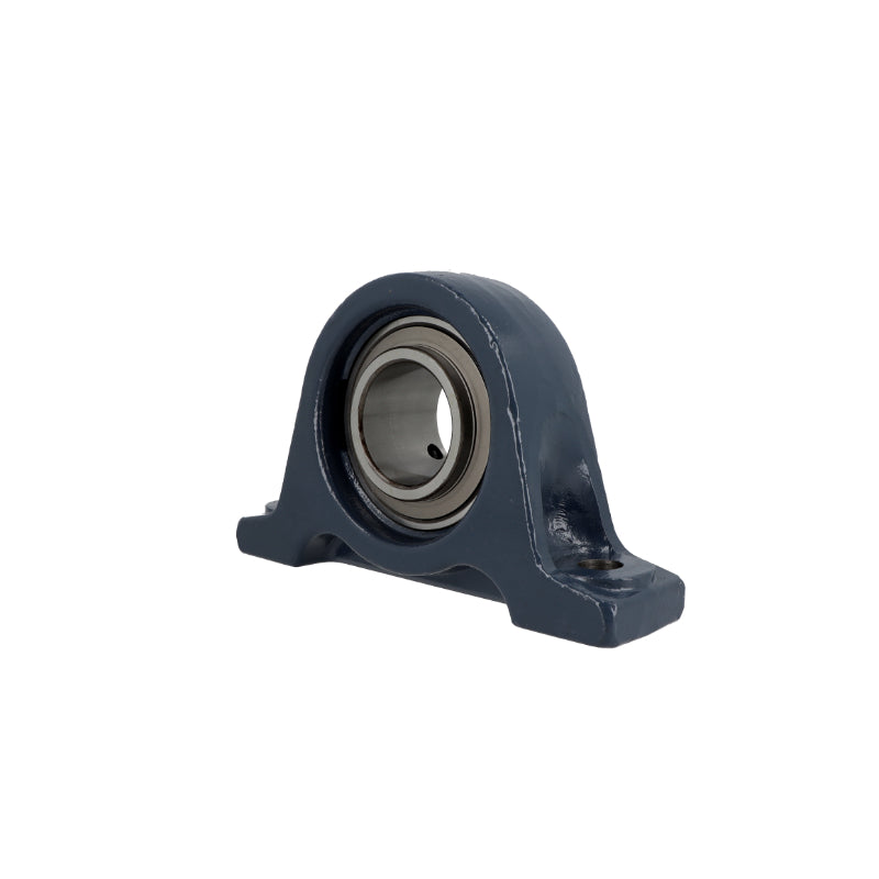 Supporto ritto / Unità SAPP202-10