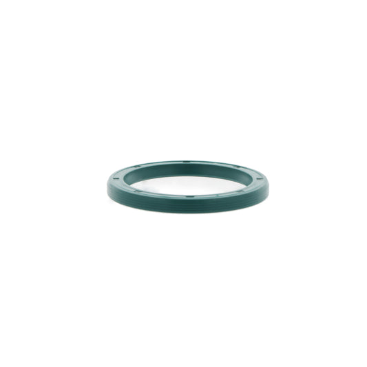 Anello di tenuta W100-120-9.5  BAOF