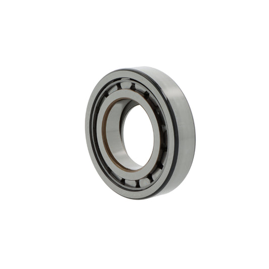 Cuscinetto a rulli cilindrici NUP309  ECNJ/C3VM004