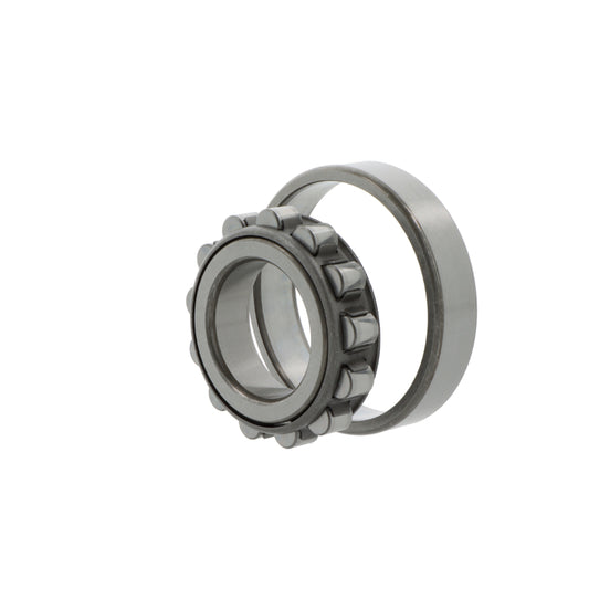 Cuscinetto a rulli cilindrici N221  W