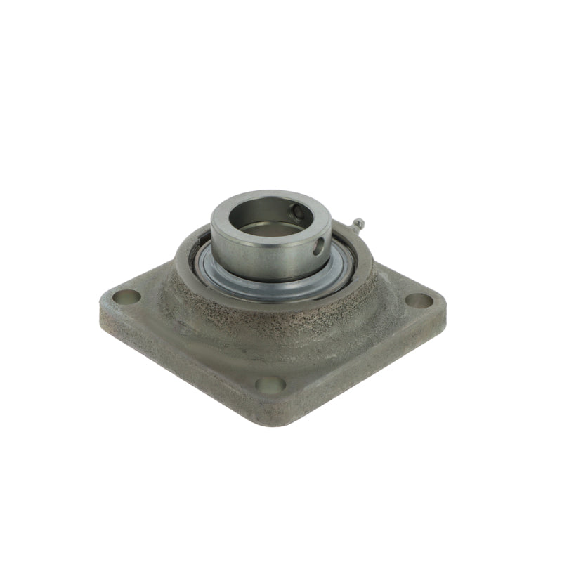 Supporto + cuscinetto flangiato (unità) RCJ30 -XL-N-FA125