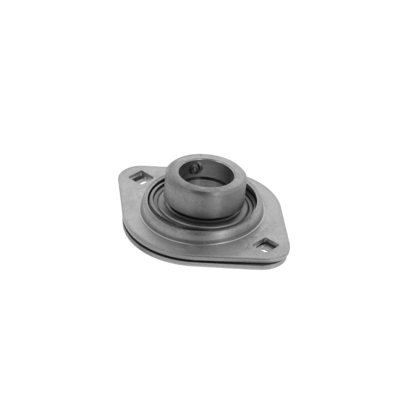 Supporto + cuscinetto flangiato (unità) RALT20 -XL-FA125.8